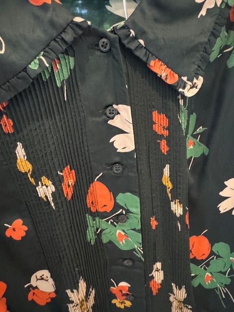 THE GREAT ALPINE BLOUSE, 1