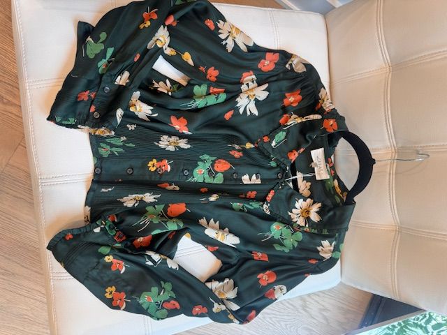 THE GREAT ALPINE BLOUSE, 1